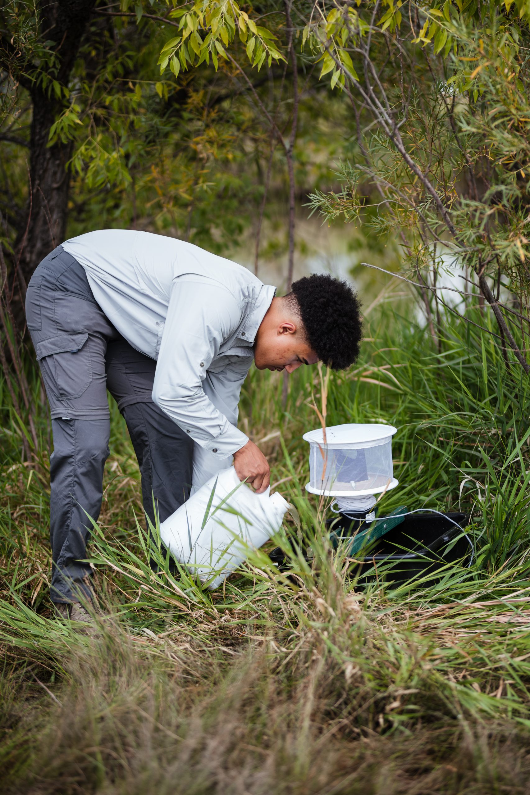 Disease Surveillance